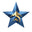 STELLE logo